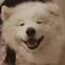 Xu**