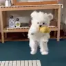 LIN**