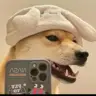 张**