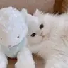 郑**