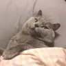 王**