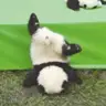 王**