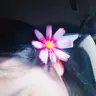 XU**
