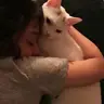 于**