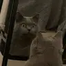 黄**