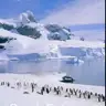 张**