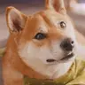莫**