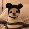 Li**
