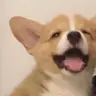 cai**